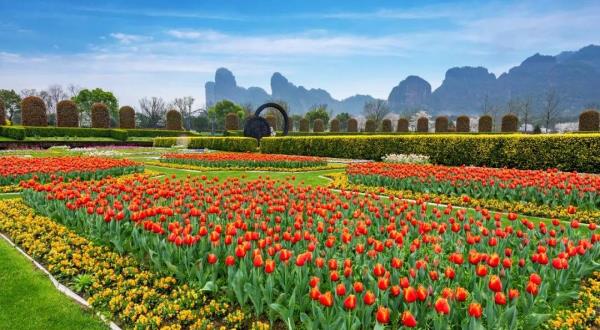 龙虎山花语世界景区