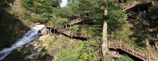 百山祖景区