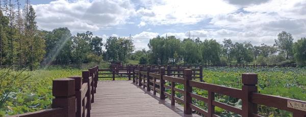 平望湿地公园