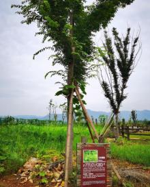 灵峰山森仙动物农场19