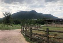 灵峰山森仙动物农场12