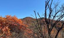 大石山森林公园2