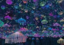 北京星空艺术馆9