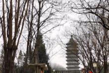 古塔公园23