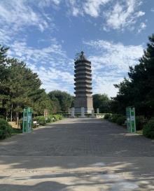 古塔公园12