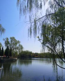 古塔公园15