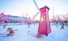 南宫冰雪嘉年华9