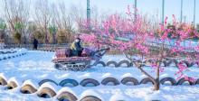 南宫冰雪嘉年华23