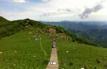 百花谷风景区2