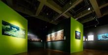 【北京收官站】国家地理经典影像大展3