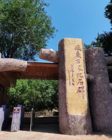 百里山水画廊―硅化木9