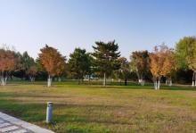 长阳公园16