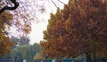 长阳公园14