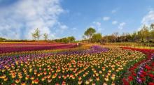 长阳公园7