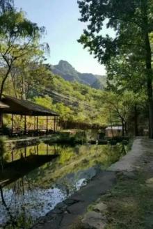 莲花池村2