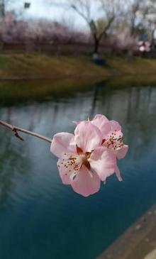 南二环护城河公园4