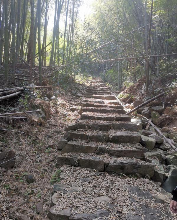 石门古道 (廿四岗游步道)