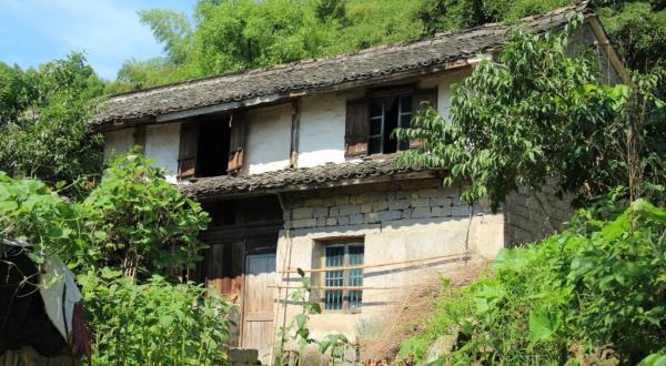 小陈岙村