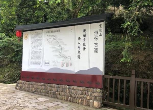 宣家山香榧