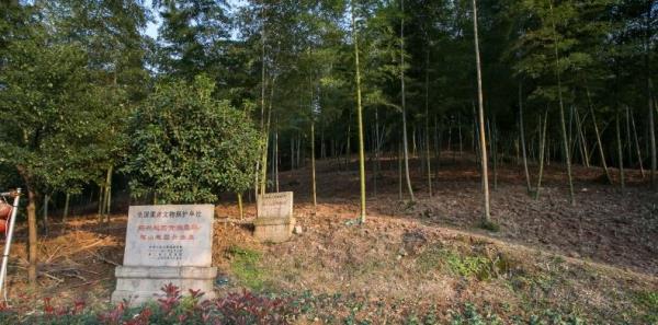 宋家山越国贵族墓