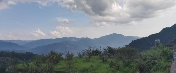 芦山村