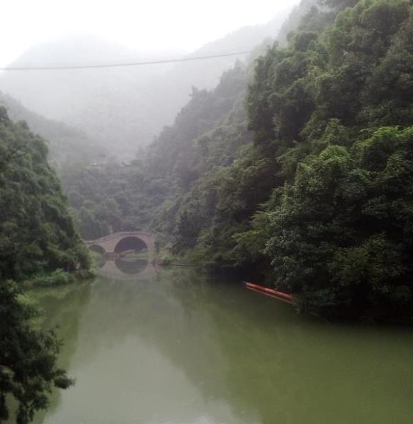 榧王村委会