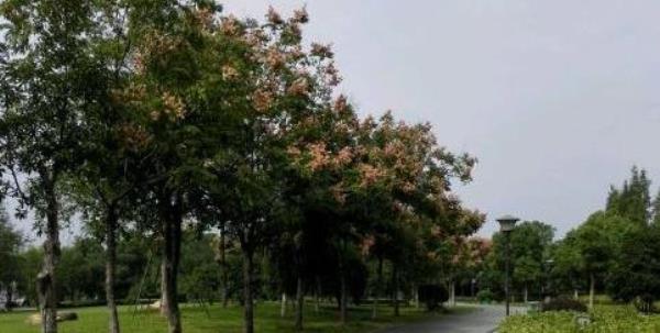 瓜渚湖北岸公园