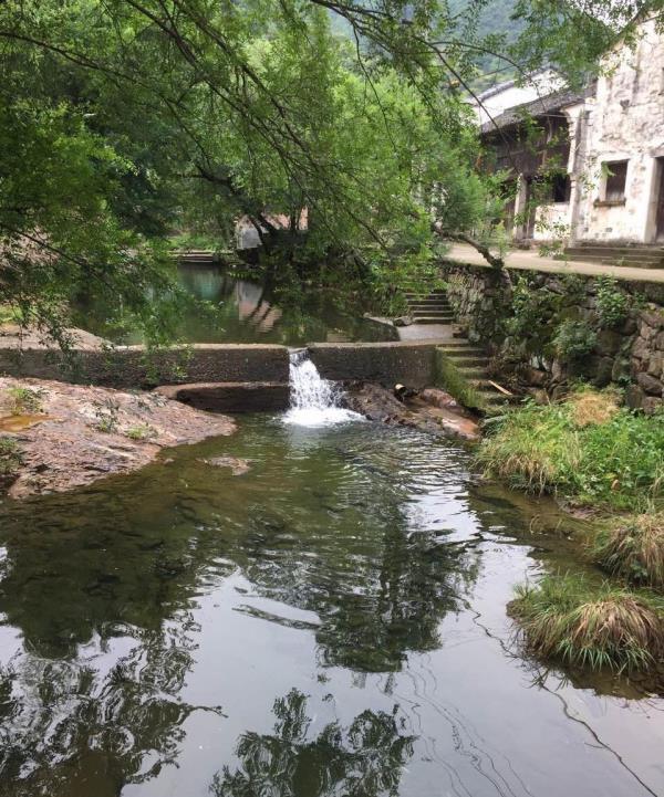 新联村