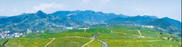 东和乡十里坪茶文化观光园
