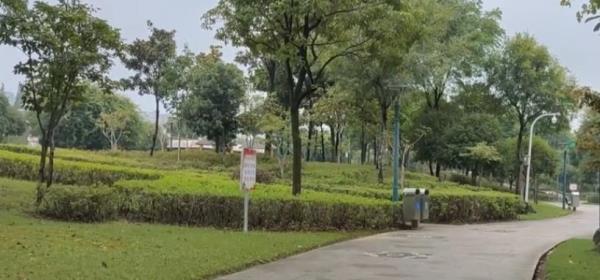 上虞滨江湿地公园