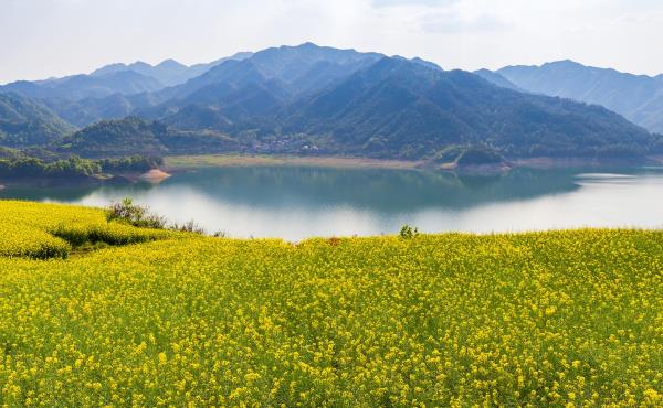 沃洲湖景区