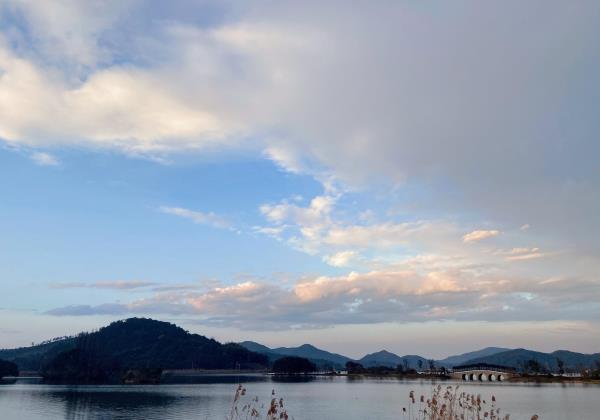 皂李湖景区