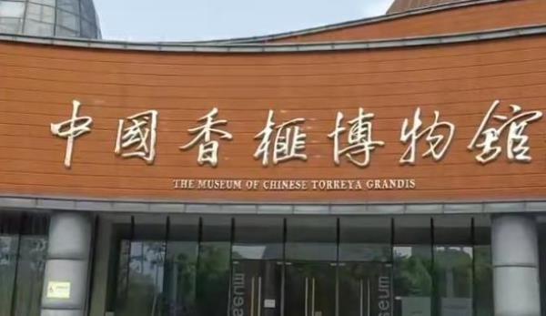中国香榧博物馆