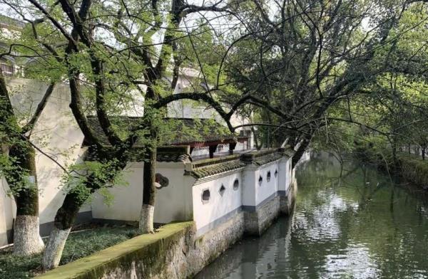 白马湖