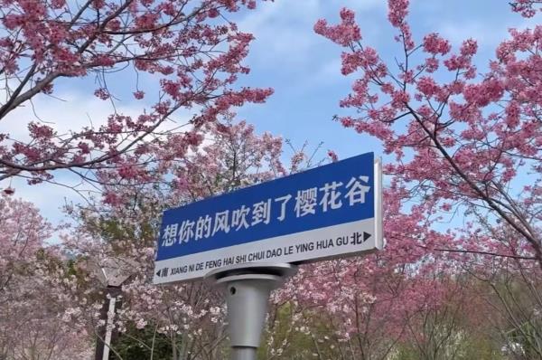 玉潭樱花谷景区
