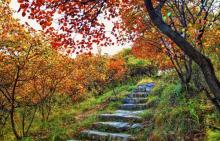 北京药王谷风景区21