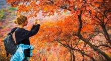 北京药王谷风景区20