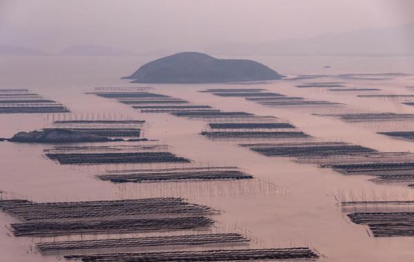 北岐滩涂