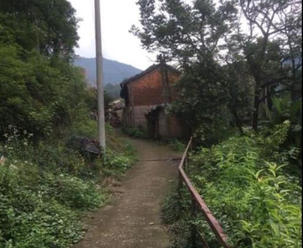 岩下老街