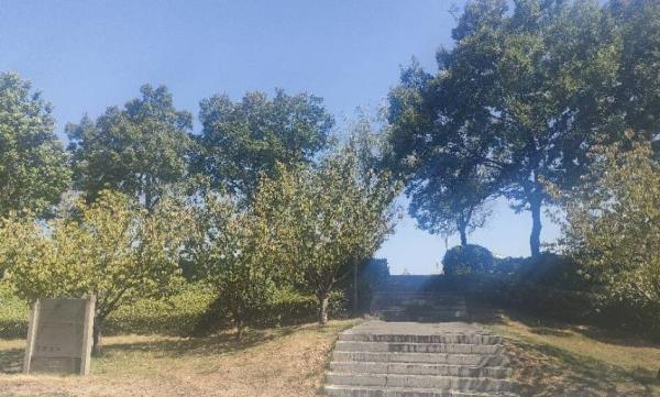 金龙湾公园