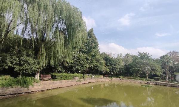 词林公园