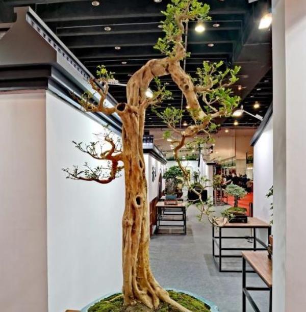 梅湖国际公馆展示中心