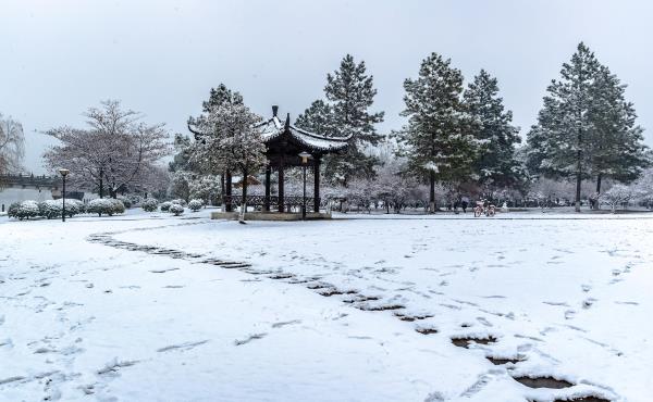 香雪园