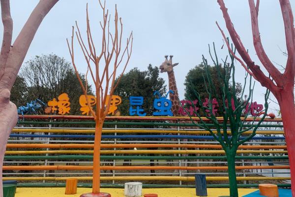 橡果果昆虫研学基地