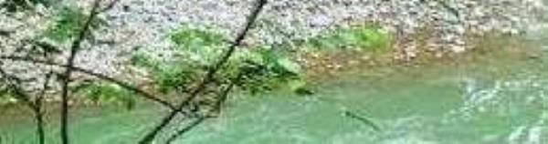巧溪漂流