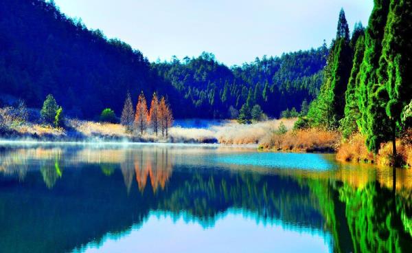 凤阳山自然保护区