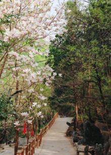 北京圣泉山旅游风景区21
