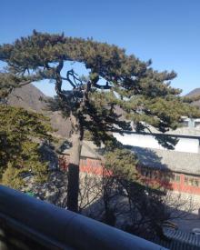 妙峰山风景区11