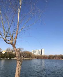 团结湖公园24