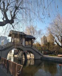 团结湖公园18